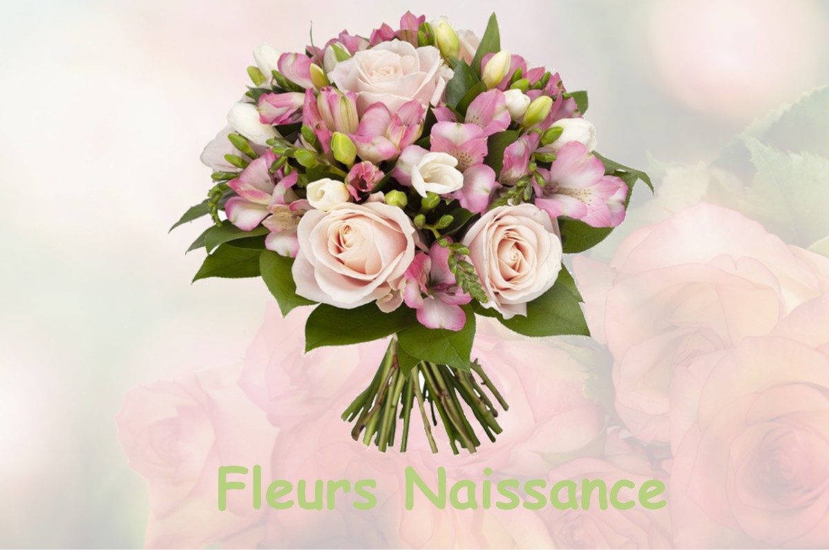 fleurs naissance NEUILLY-SUR-SEINE