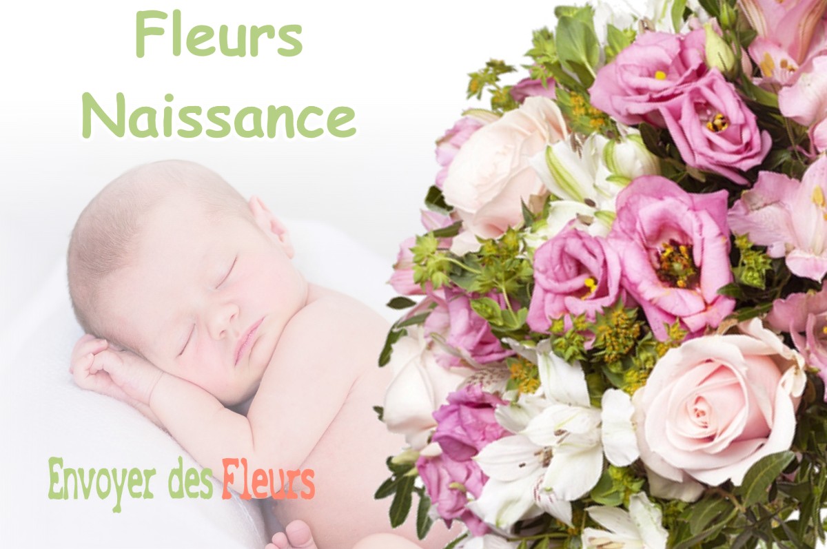 lIVRAISON FLEURS NAISSANCE à NEUILLY-SUR-SEINE